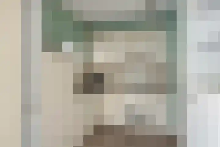 Frittemaleane 60 Sneek thumbnail 19