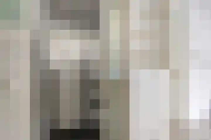 Frittemaleane 60 Sneek thumbnail 20