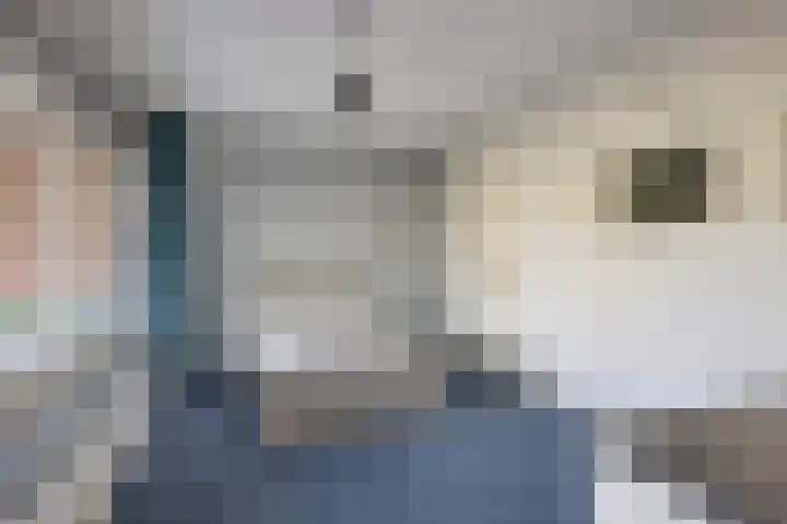 Frittemaleane 60 Sneek thumbnail 21