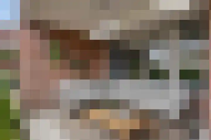 Frittemaleane 60 Sneek thumbnail 27