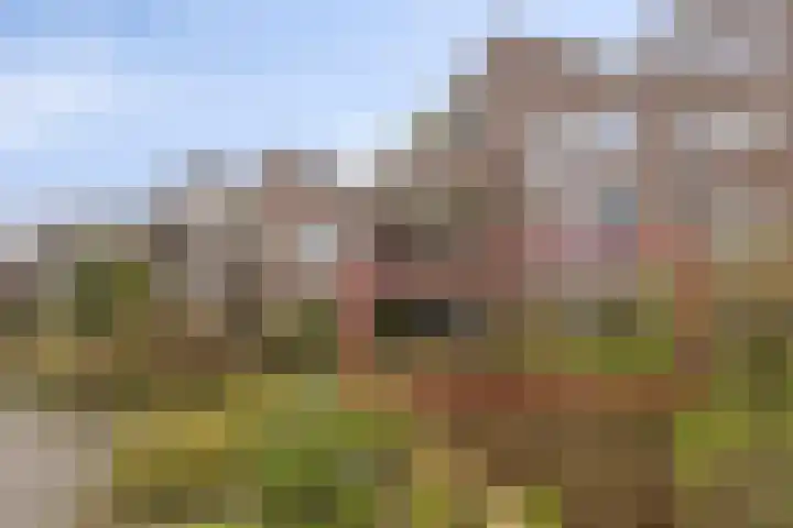 Frittemaleane 60 Sneek thumbnail 6