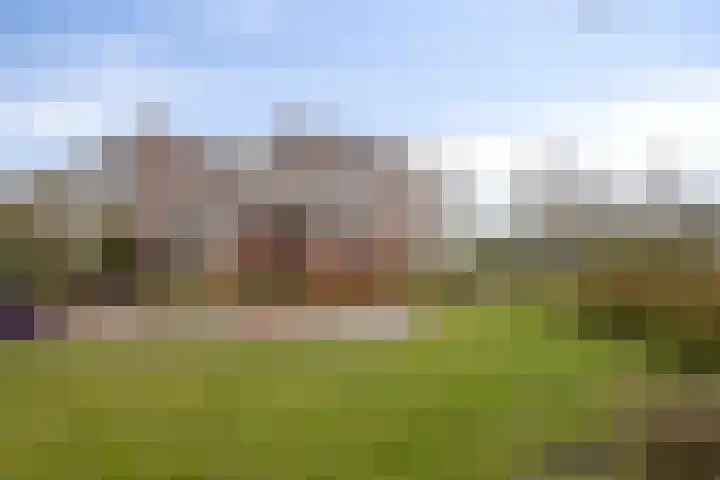 Frittemaleane 60 Sneek thumbnail 7