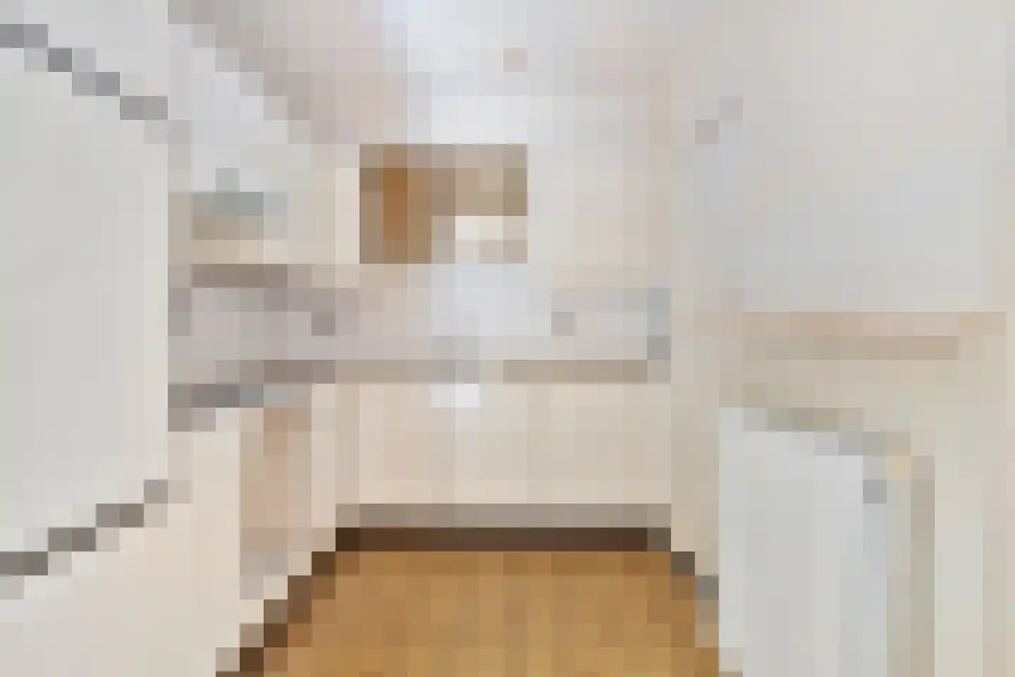 Frittemaleane 62 Sneek thumbnail 15