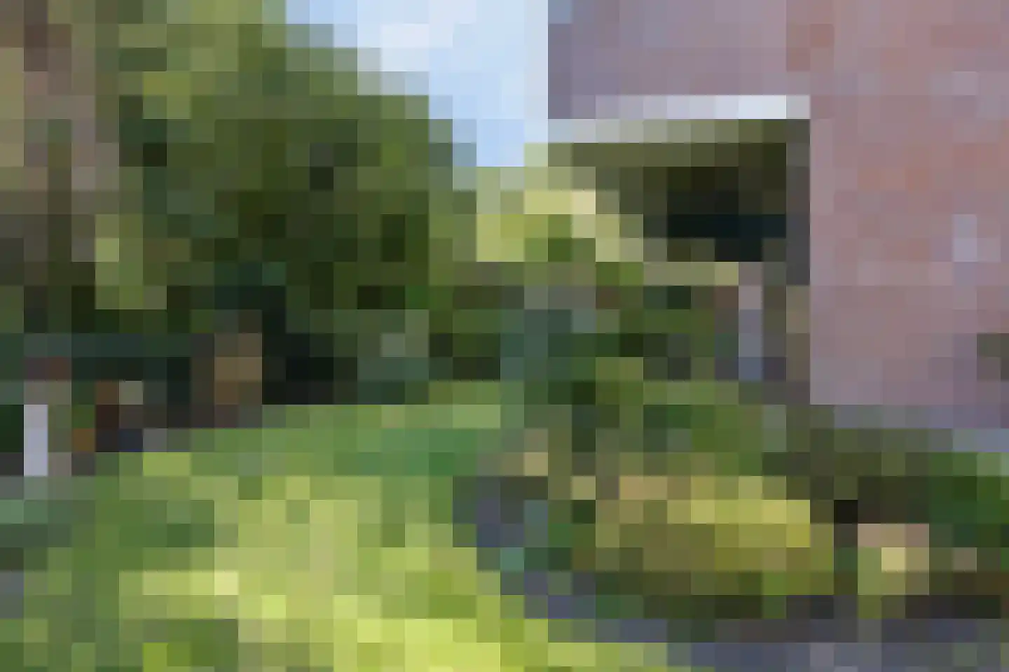 Frittemaleane 62 Sneek thumbnail 23