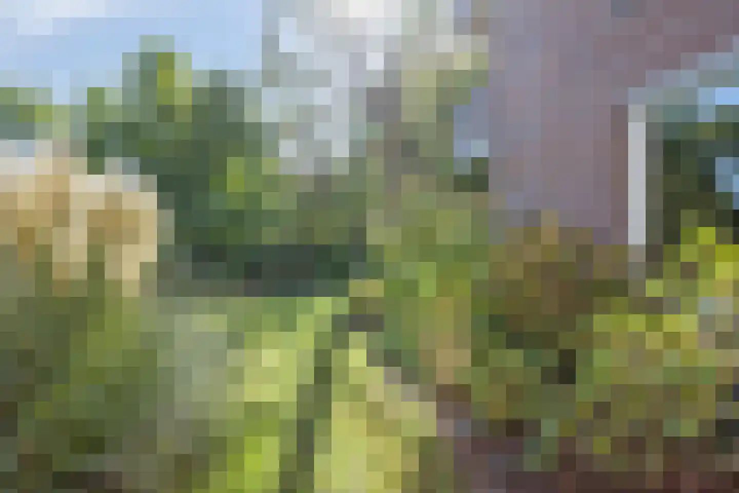 Frittemaleane 62 Sneek thumbnail 24