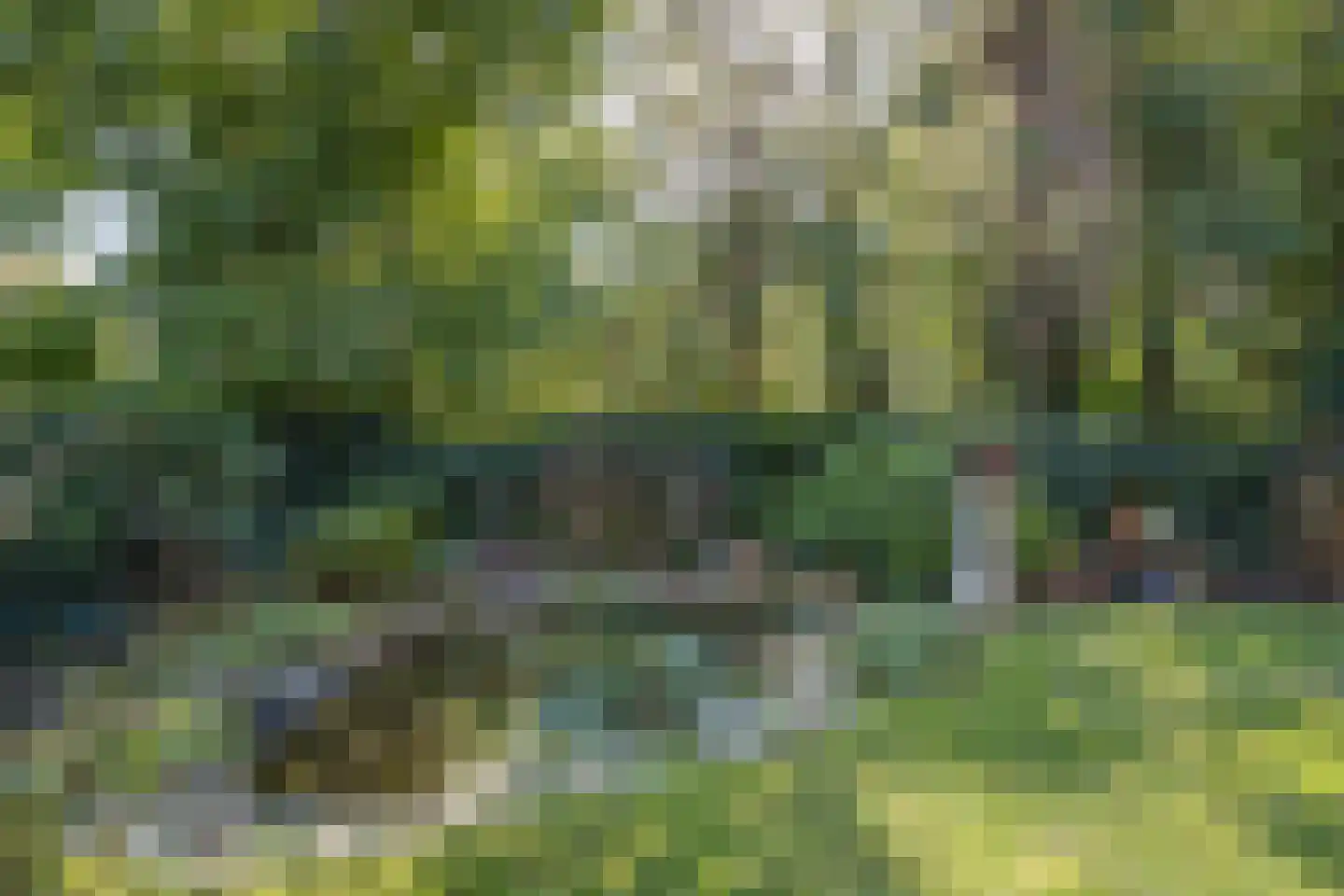 Frittemaleane 62 Sneek thumbnail 25