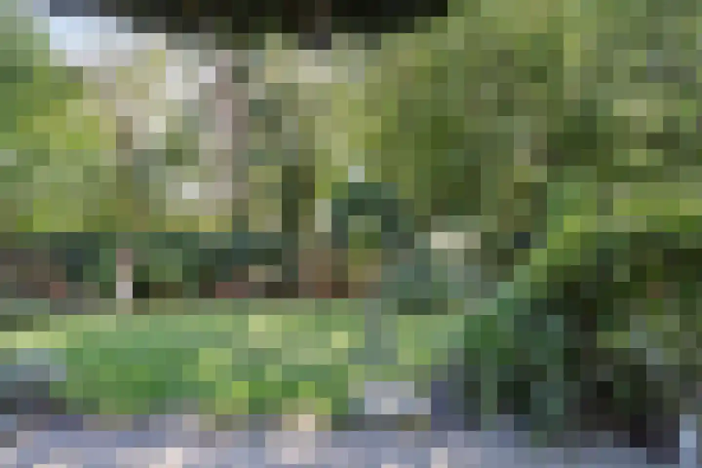 Frittemaleane 62 Sneek thumbnail 26