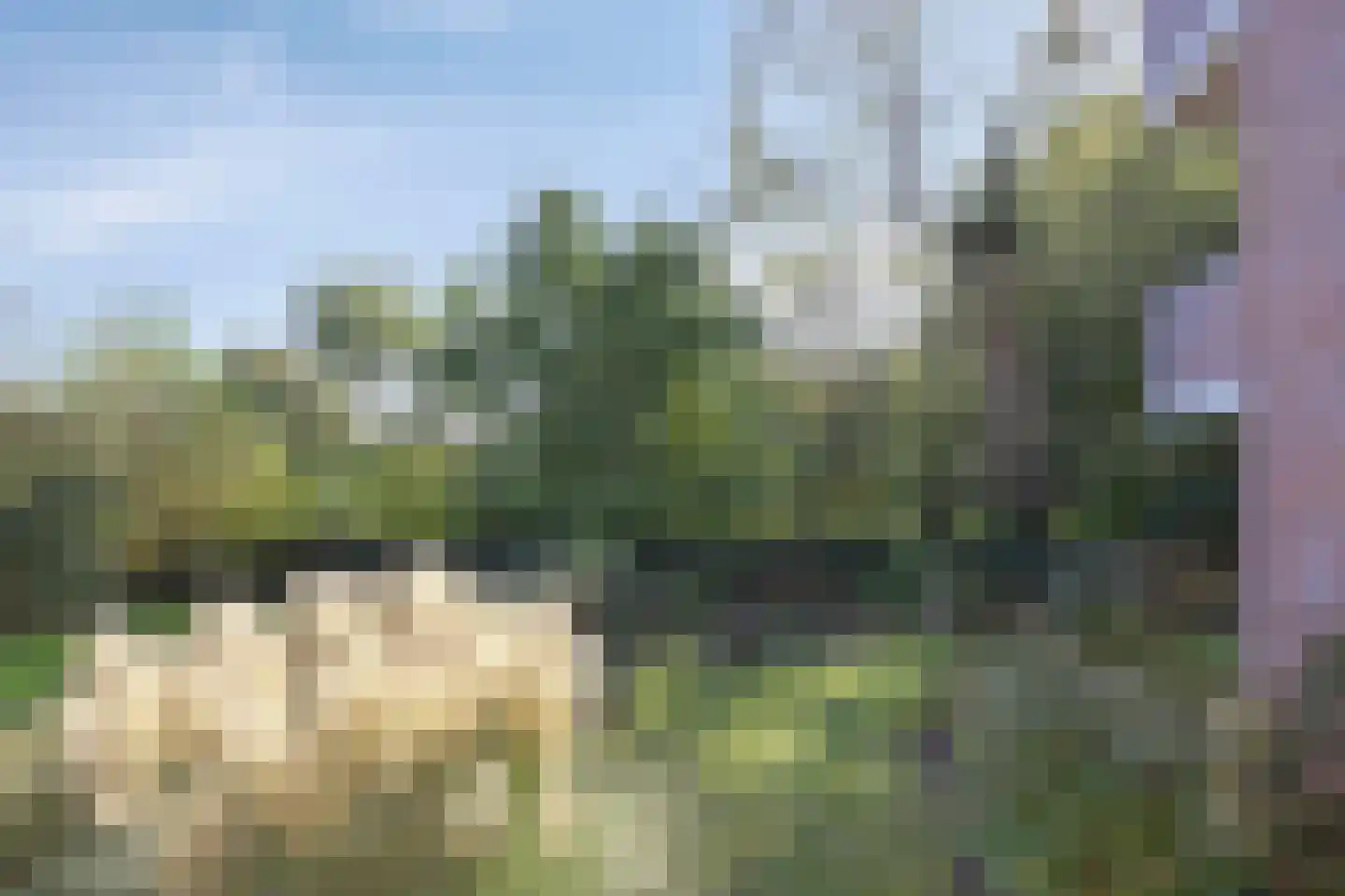 Frittemaleane 62 Sneek thumbnail 27