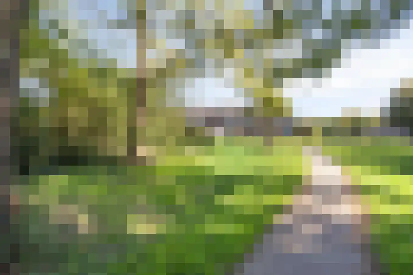 Frittemaleane 62 Sneek thumbnail 30