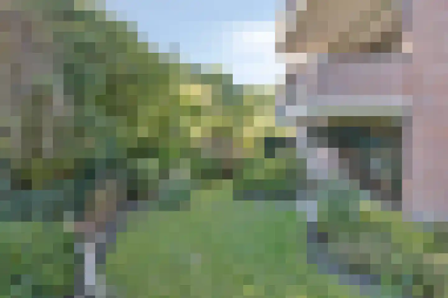 Frittemaleane 62 Sneek thumbnail 4