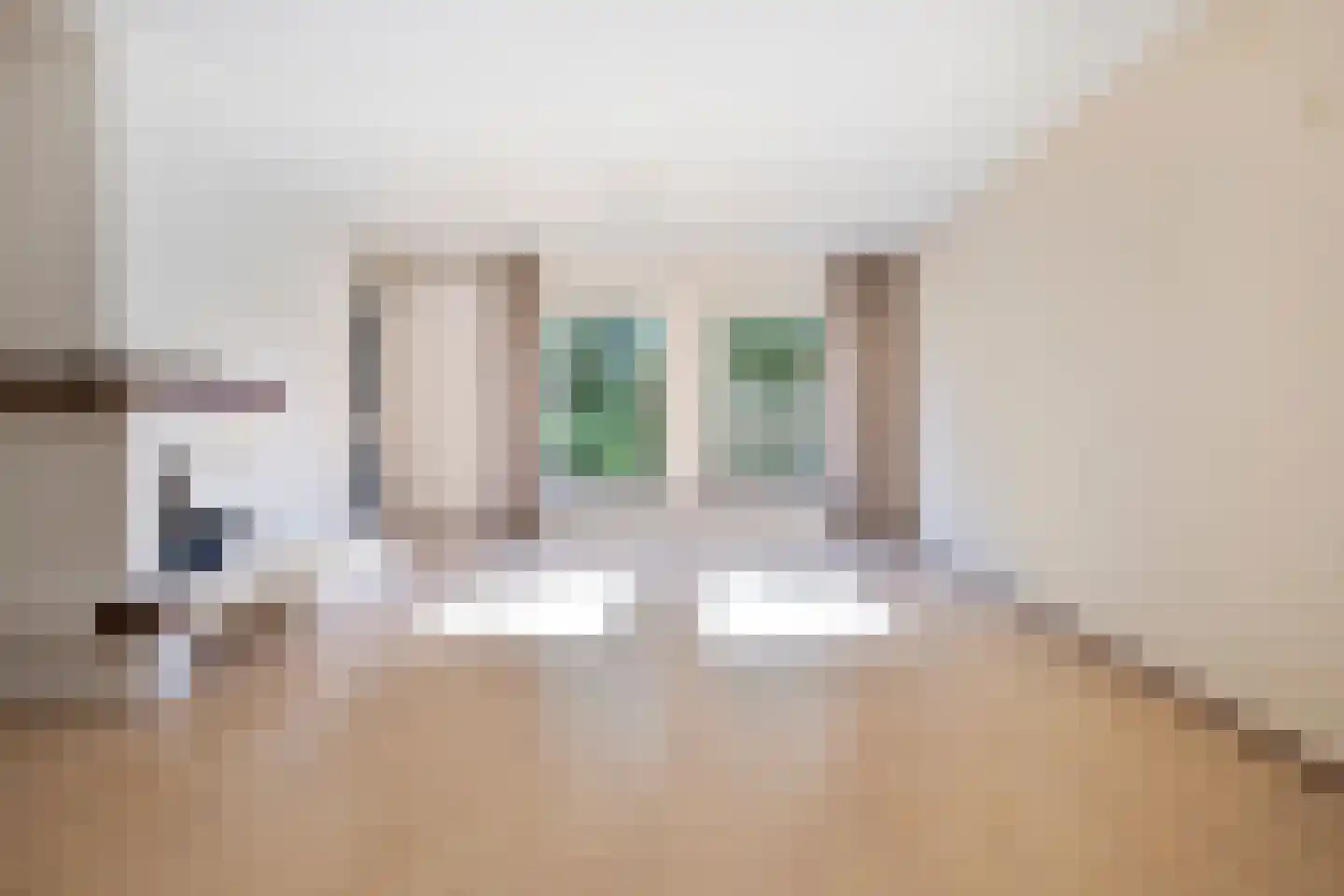 Frittemaleane 62 Sneek thumbnail 5