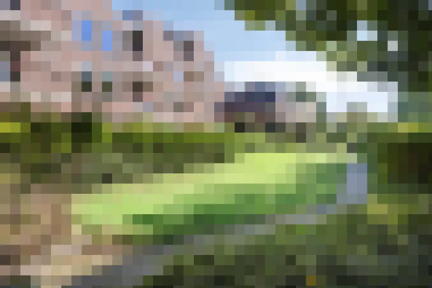 Frittemaleane 62 Sneek thumbnail 8