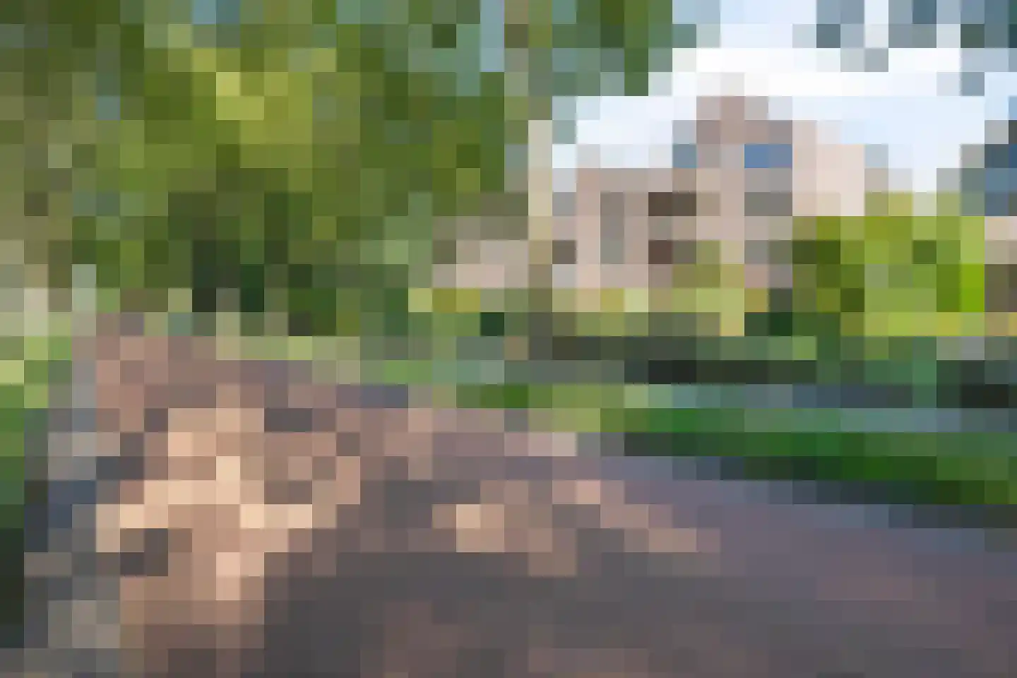 Frittemaleane 62 Sneek thumbnail 9