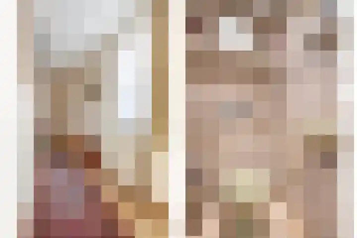 Frittemaleane 65 Sneek thumbnail 10