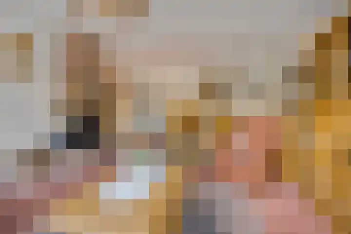 Frittemaleane 65 Sneek thumbnail 12