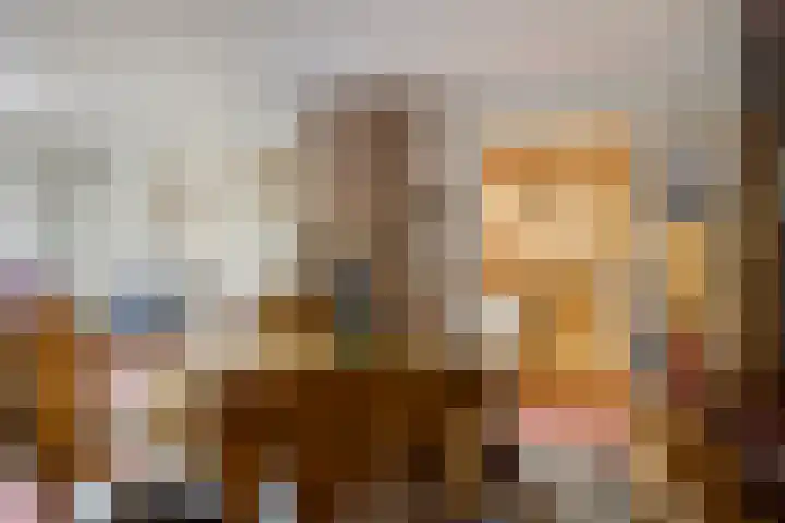 Frittemaleane 65 Sneek thumbnail 14