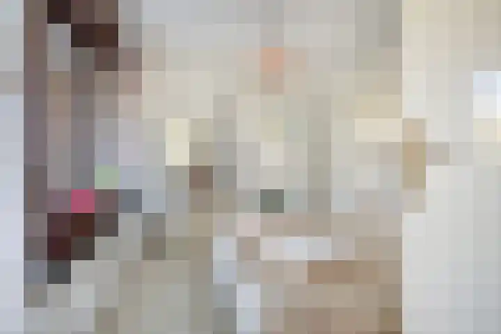 Frittemaleane 65 Sneek thumbnail 17