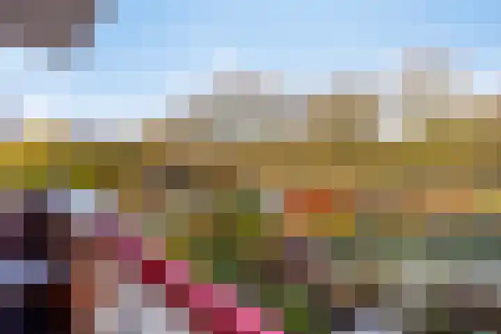 Frittemaleane 65 Sneek thumbnail 24