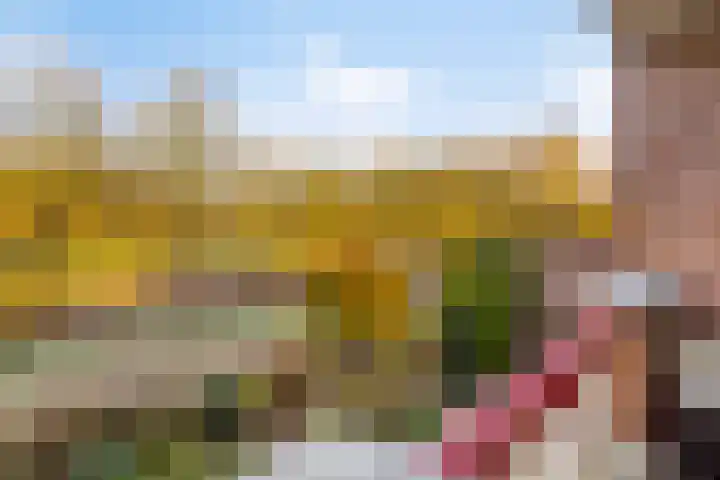 Frittemaleane 65 Sneek thumbnail 4