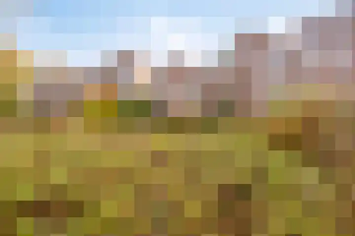 Frittemaleane 65 Sneek thumbnail 5