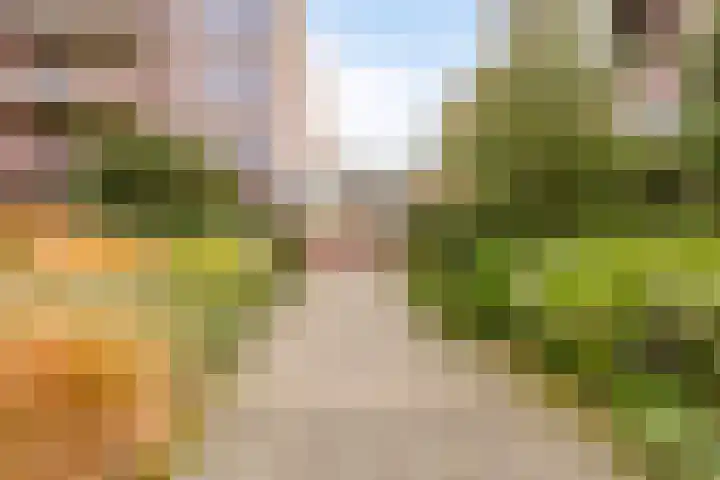 Frittemaleane 65 Sneek thumbnail 7