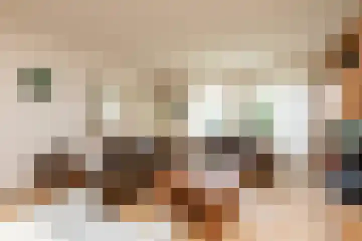 Frittemaleane 75 Sneek thumbnail 11