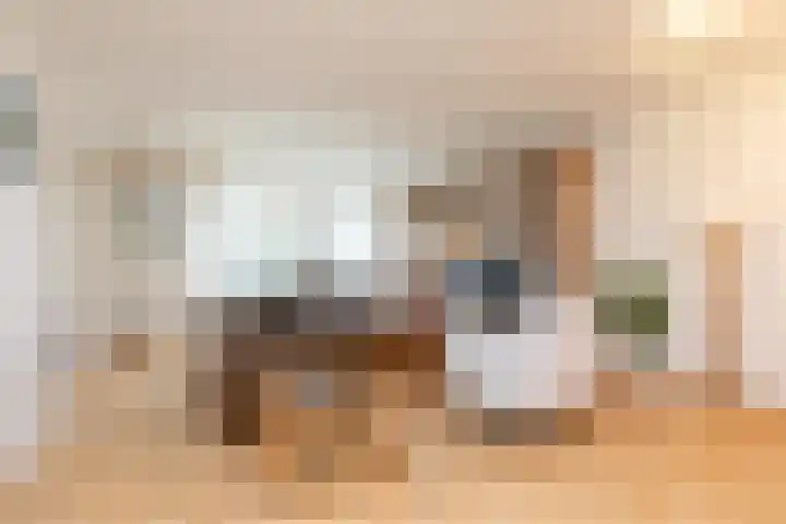 Frittemaleane 75 Sneek thumbnail 12