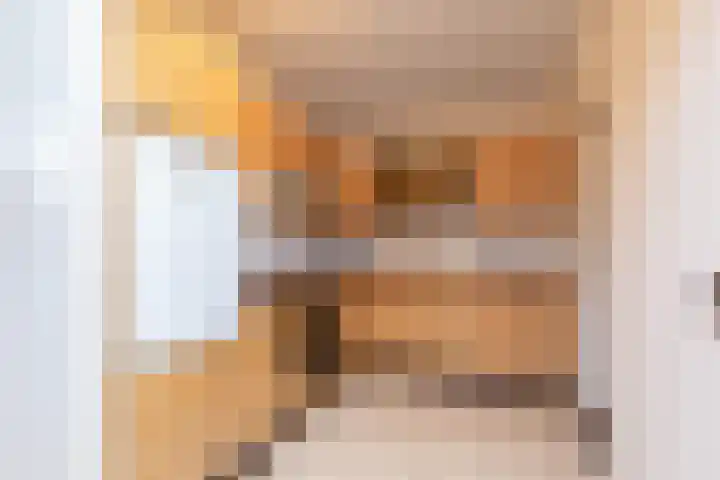 Frittemaleane 75 Sneek thumbnail 15