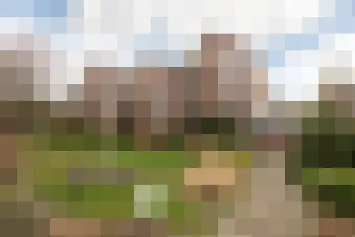 Frittemaleane 75 Sneek thumbnail 28