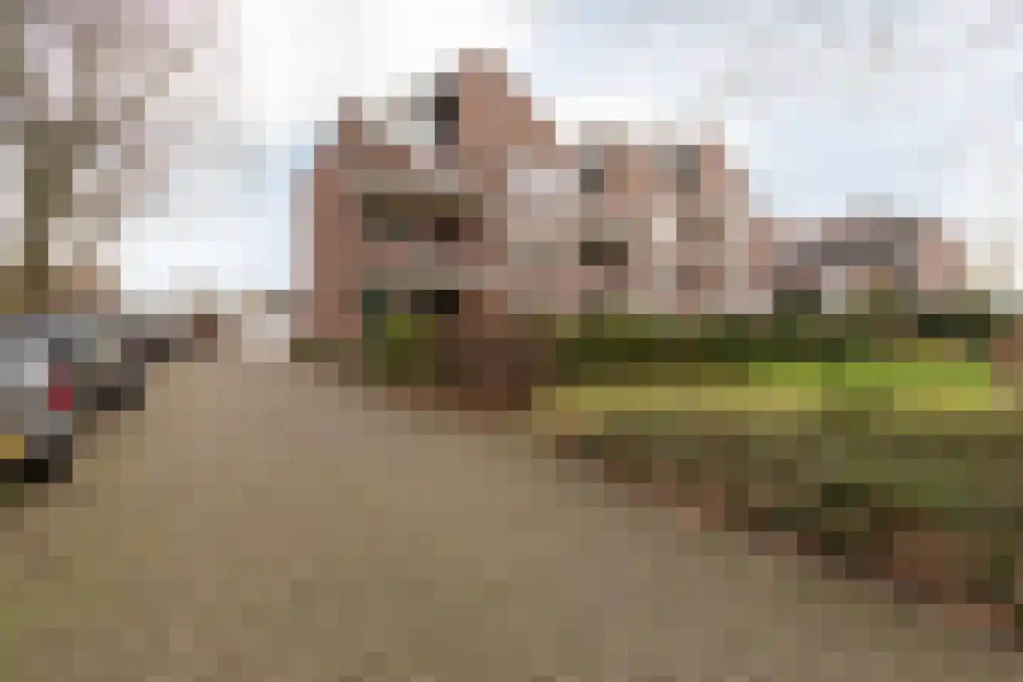 Frittemaleane 75 Sneek thumbnail 29