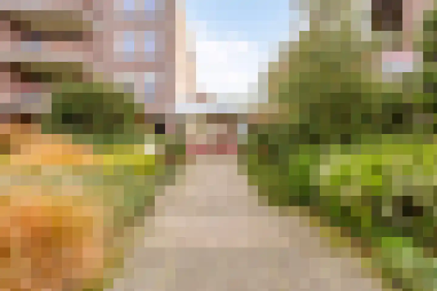 Frittemaleane 75 Sneek thumbnail 30