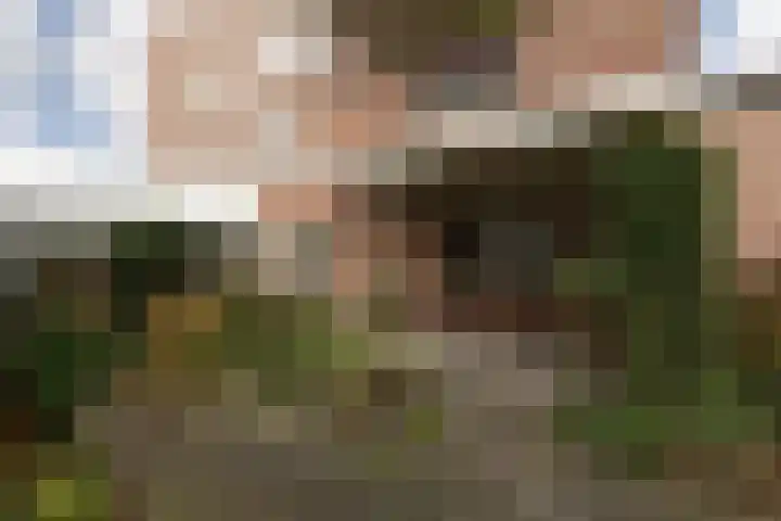 Frittemaleane 75 Sneek thumbnail 6