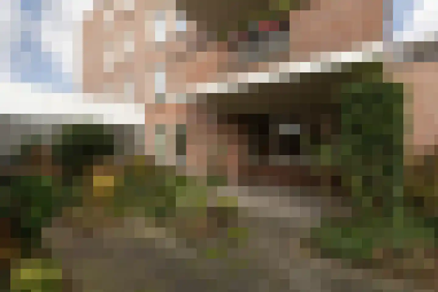Frittemaleane 75 Sneek thumbnail 6