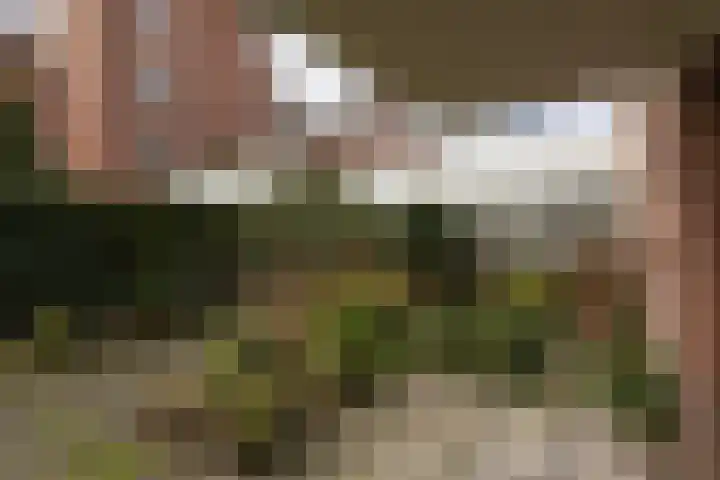 Frittemaleane 75 Sneek thumbnail 7