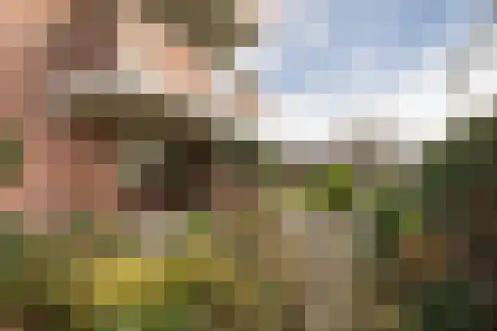 Frittemaleane 75 Sneek thumbnail 8