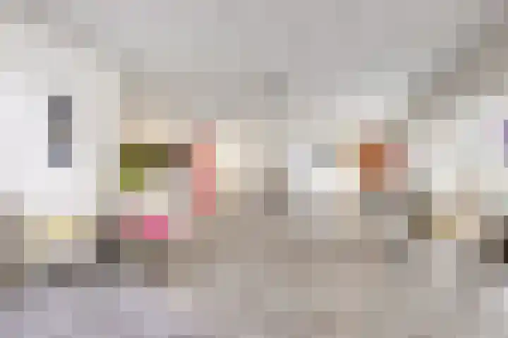 Frittemaleane 88 Sneek thumbnail 10