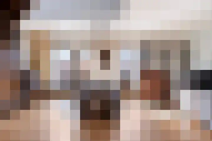 Frittemaleane 88 Sneek thumbnail 15