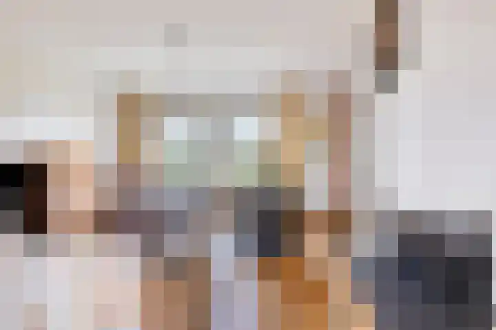 Frittemaleane 88 Sneek thumbnail 16