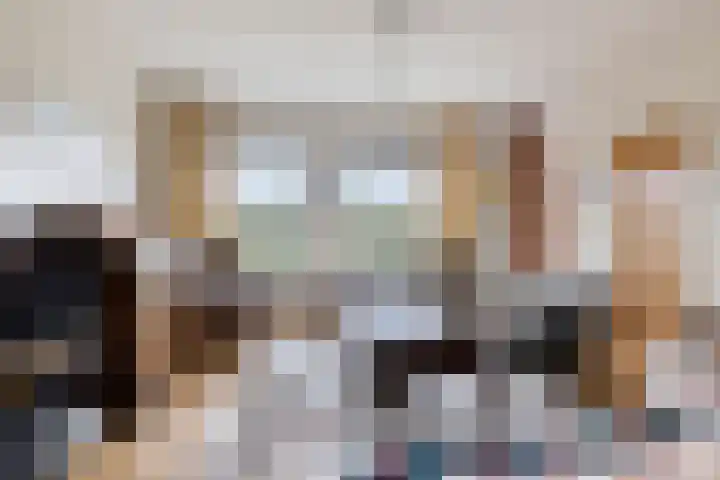 Frittemaleane 88 Sneek thumbnail 17