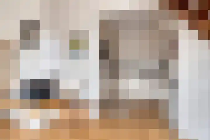 Frittemaleane 88 Sneek thumbnail 19