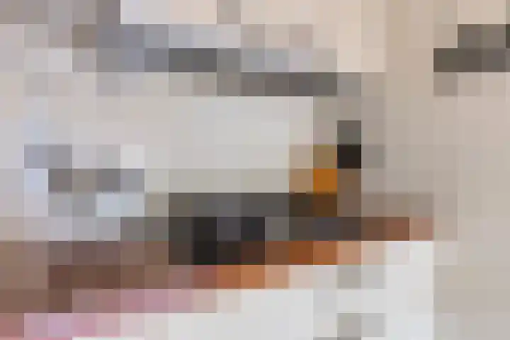 Frittemaleane 88 Sneek thumbnail 21