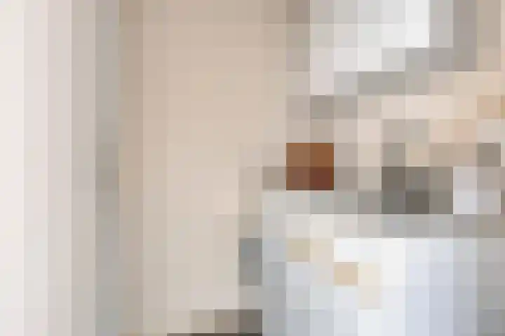 Frittemaleane 88 Sneek thumbnail 22