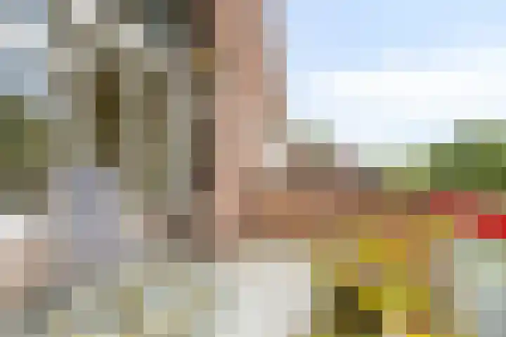 Frittemaleane 88 Sneek thumbnail 23