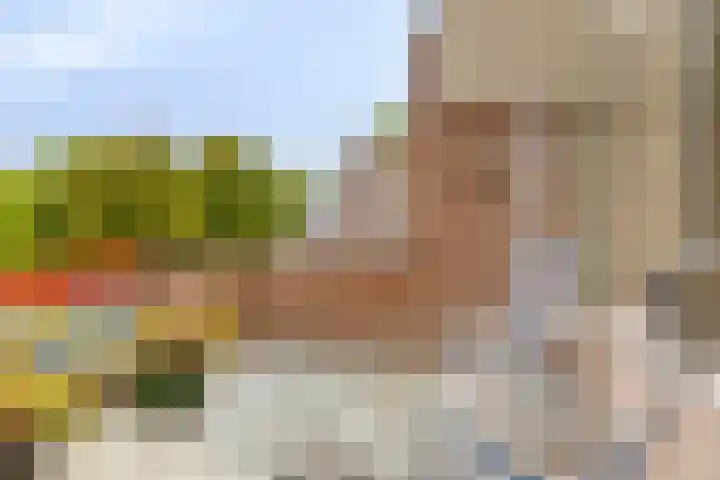 Frittemaleane 88 Sneek thumbnail 24