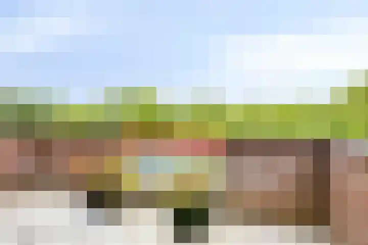 Frittemaleane 88 Sneek thumbnail 25