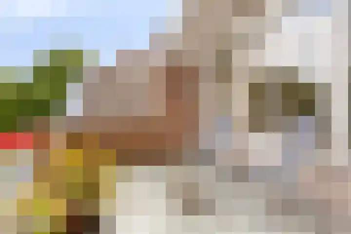 Frittemaleane 88 Sneek thumbnail 26