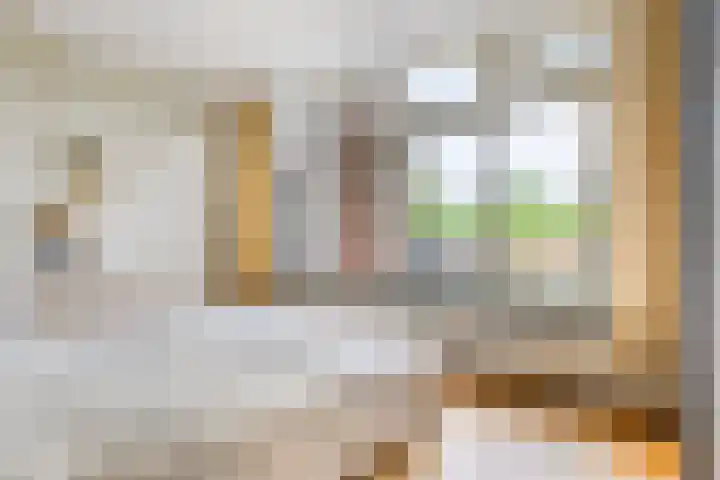 Frittemaleane 88 Sneek thumbnail 27