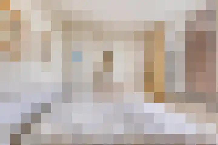 Frittemaleane 88 Sneek thumbnail 29