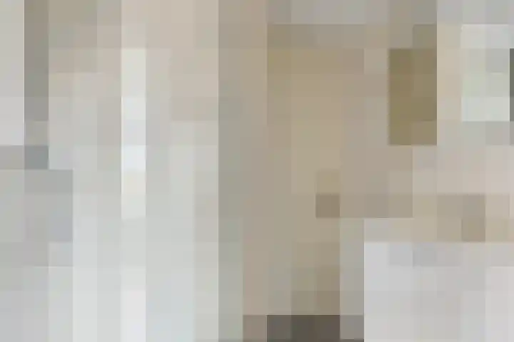 Frittemaleane 88 Sneek thumbnail 32