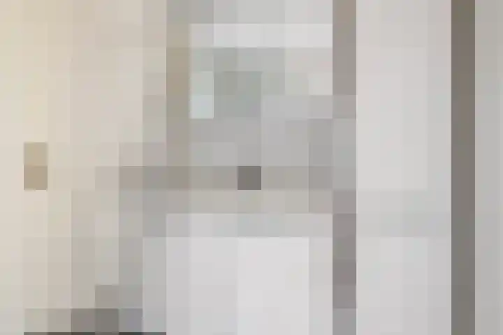 Frittemaleane 88 Sneek thumbnail 33